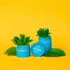 natural deodorant with peppermint essential oil